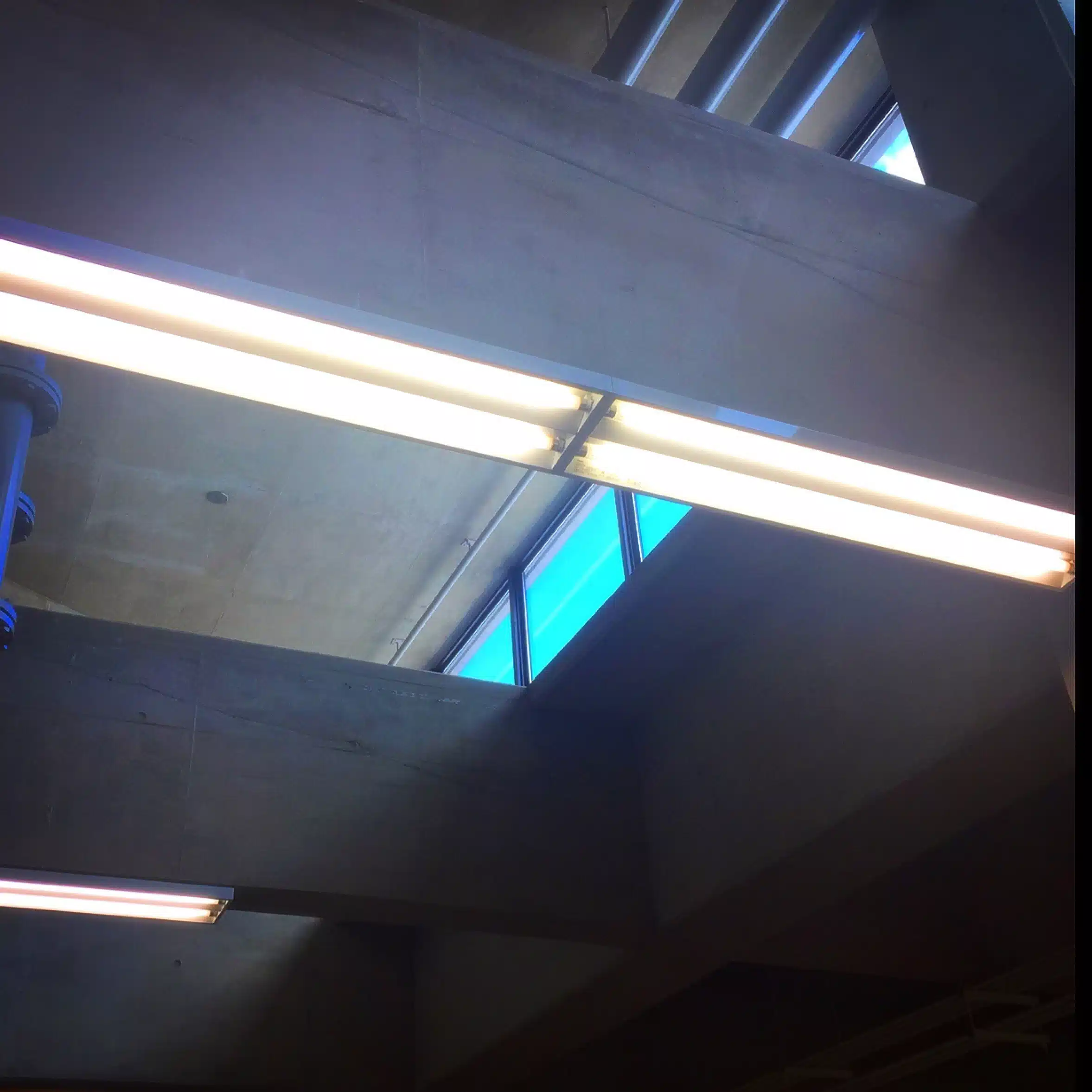 秕