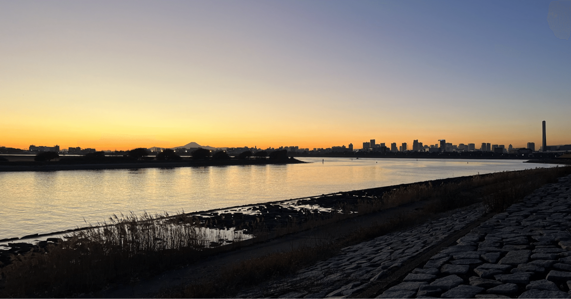 ひろひろ｜働く30代のキャリア＆リーダー養成コーチ｜note