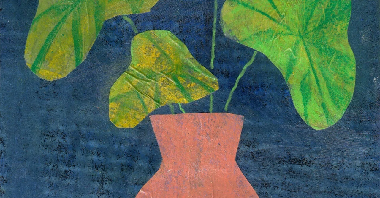 Leaves and Vase｜noouchi