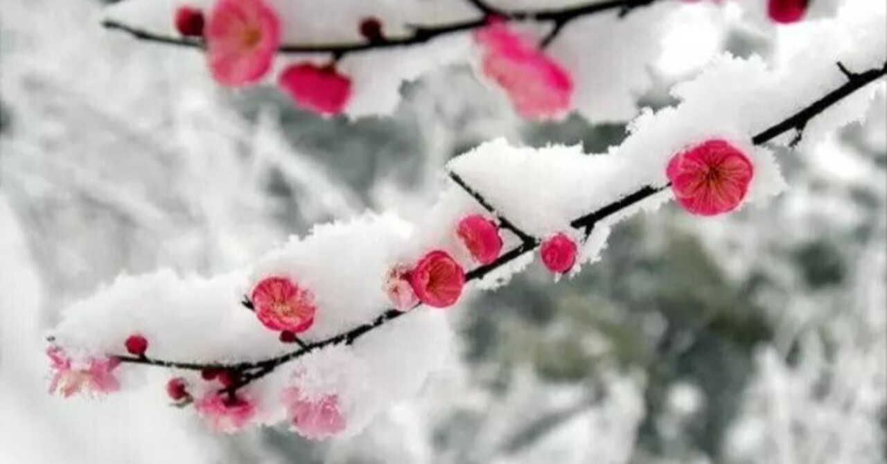 絵『疎影横斜小風清』 暗香不動 | 木下静涯 公式サイト