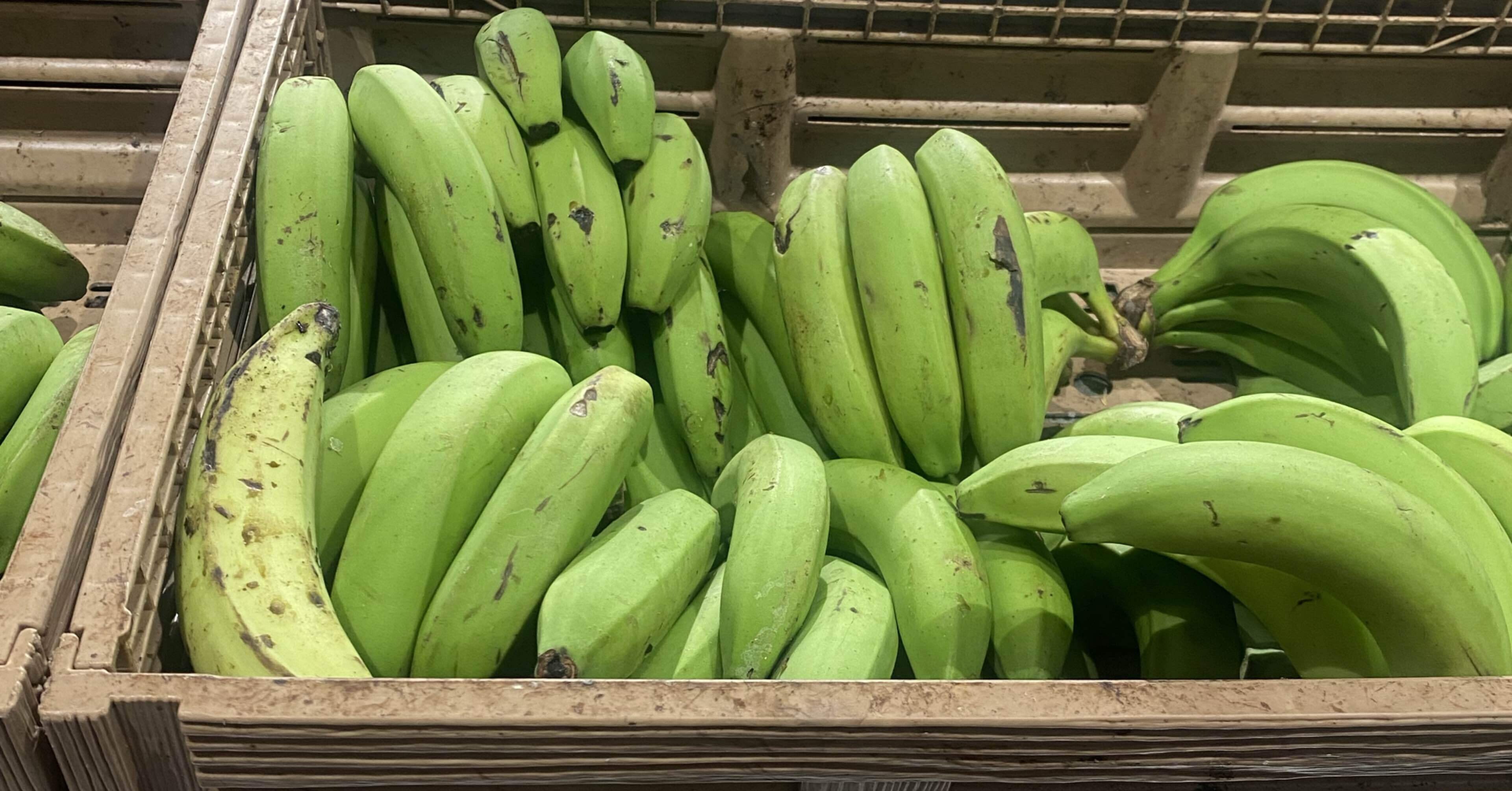 旅と料理＊甘くないバナナplatano🍌がじゃがいも🥔に似てた話