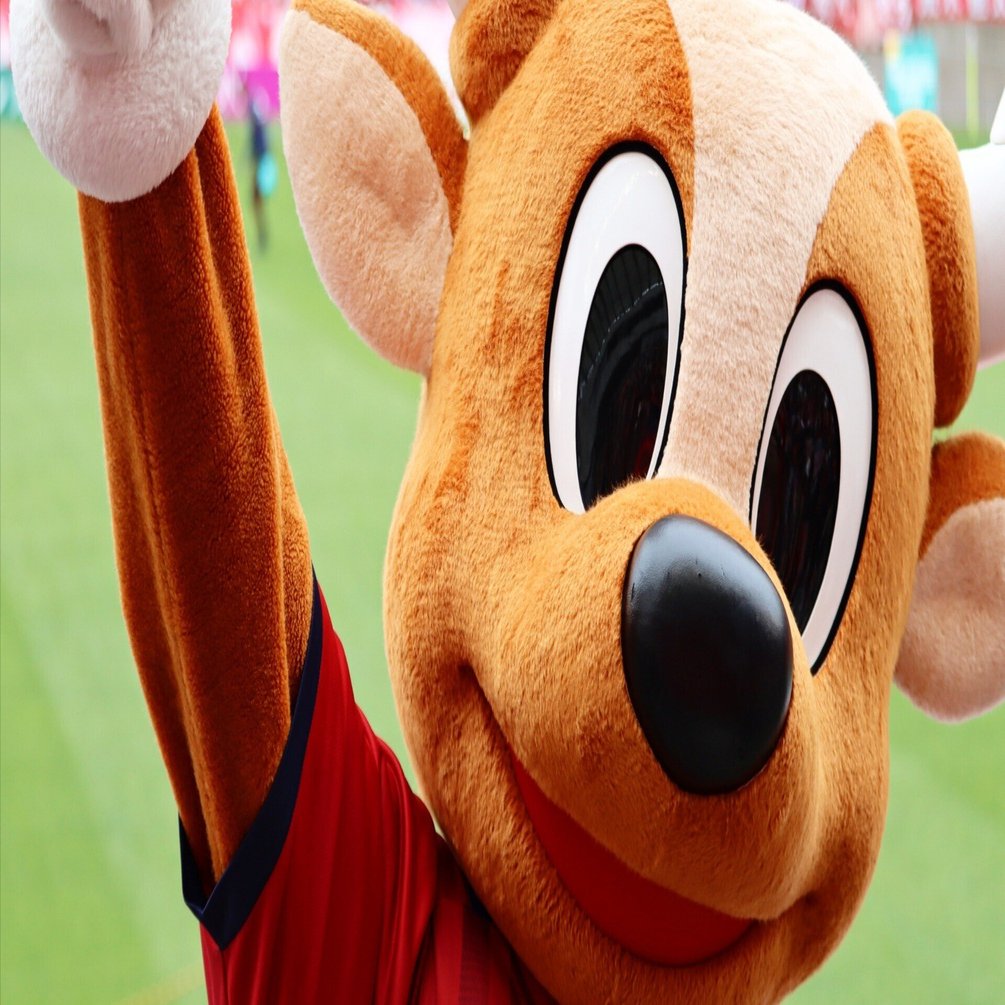 どこよりも早い2024鹿島アントラーズ選手名鑑｜タケゴラ