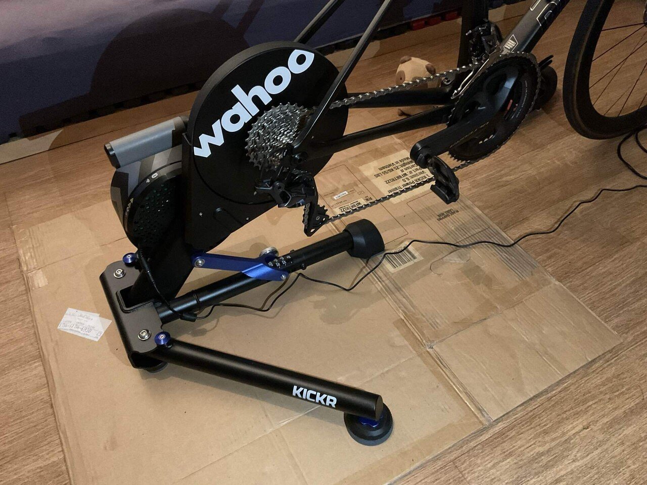 冬の引きこもり生活を豊かにしてみよう｜K たぬき大好き