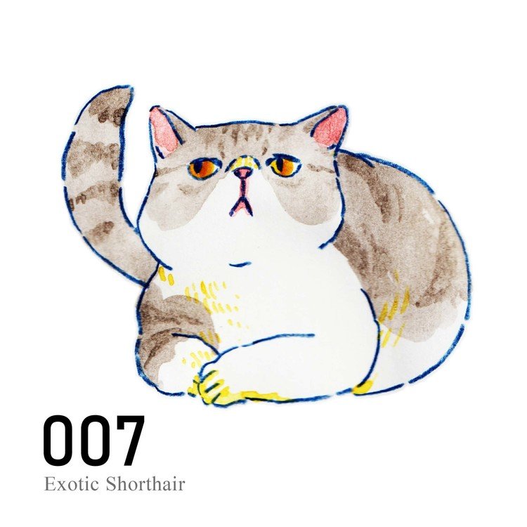 猫100 Cat Nao Sakamoto S Memo Note