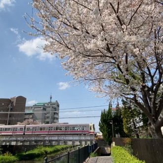 トップに移動