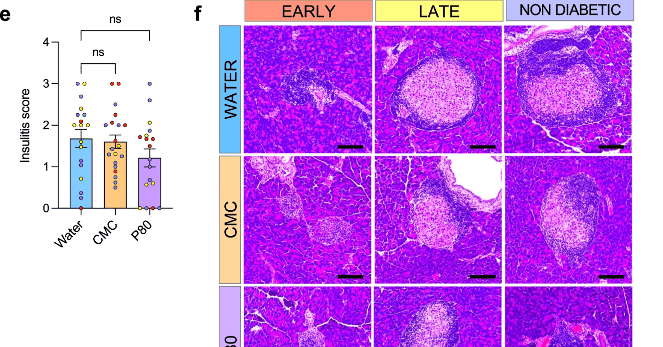 【刻のイシュタリア】AP回復薬+BP回復薬 合計20，000個 比率自由