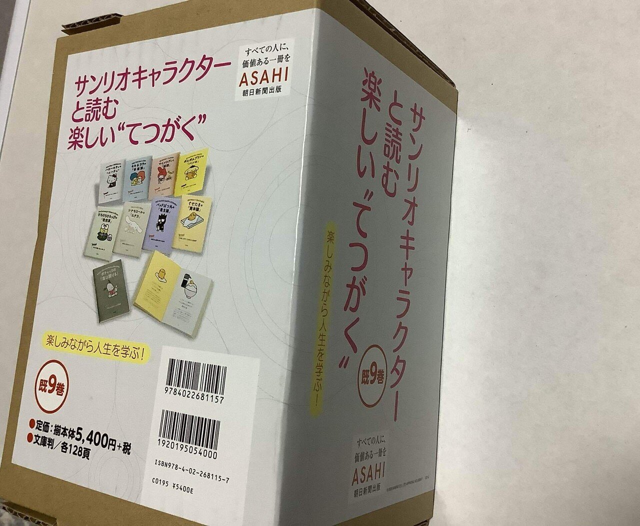 ホロライブ所属VTuberの白銀ノエルさんに影響されて『サンリオ