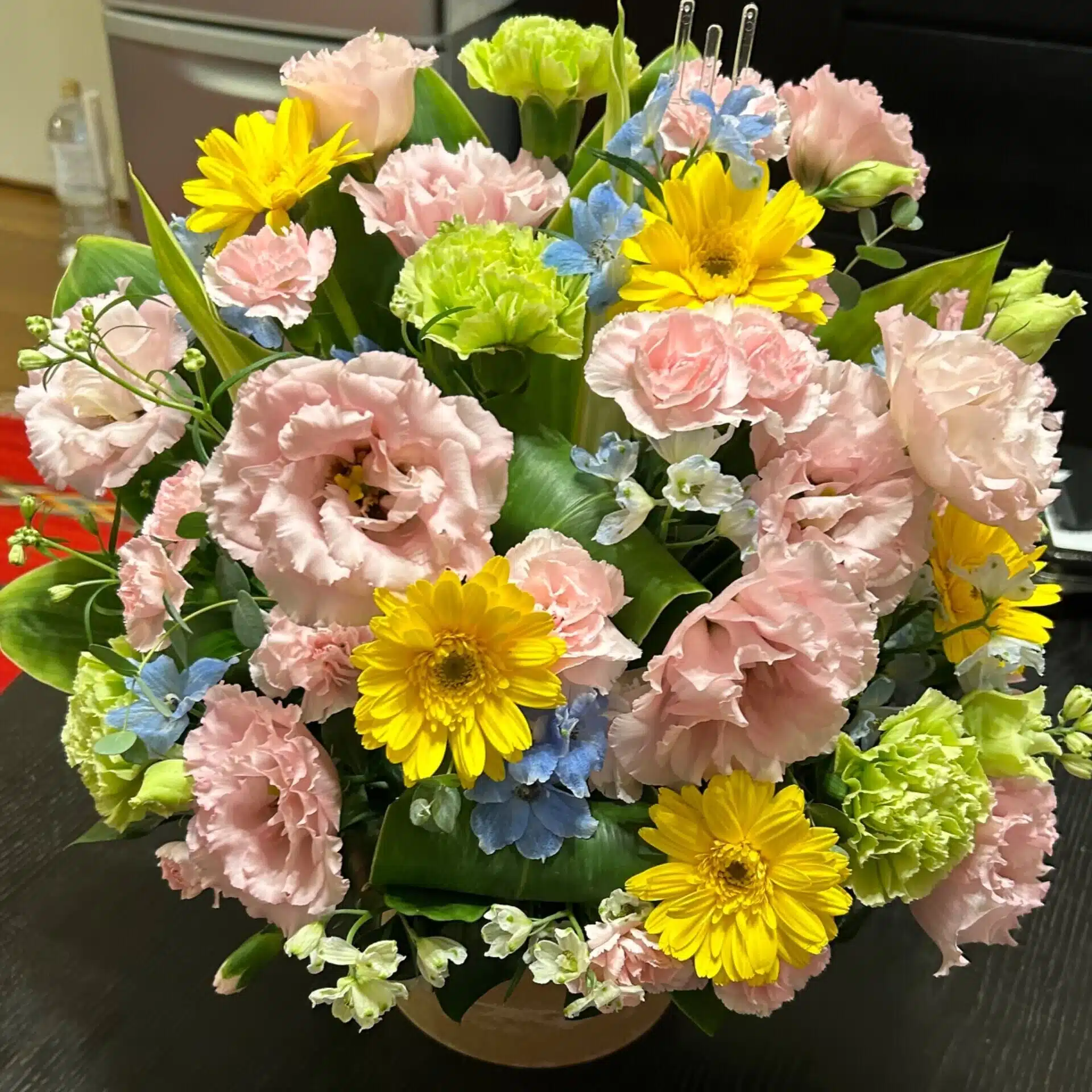 とっこ