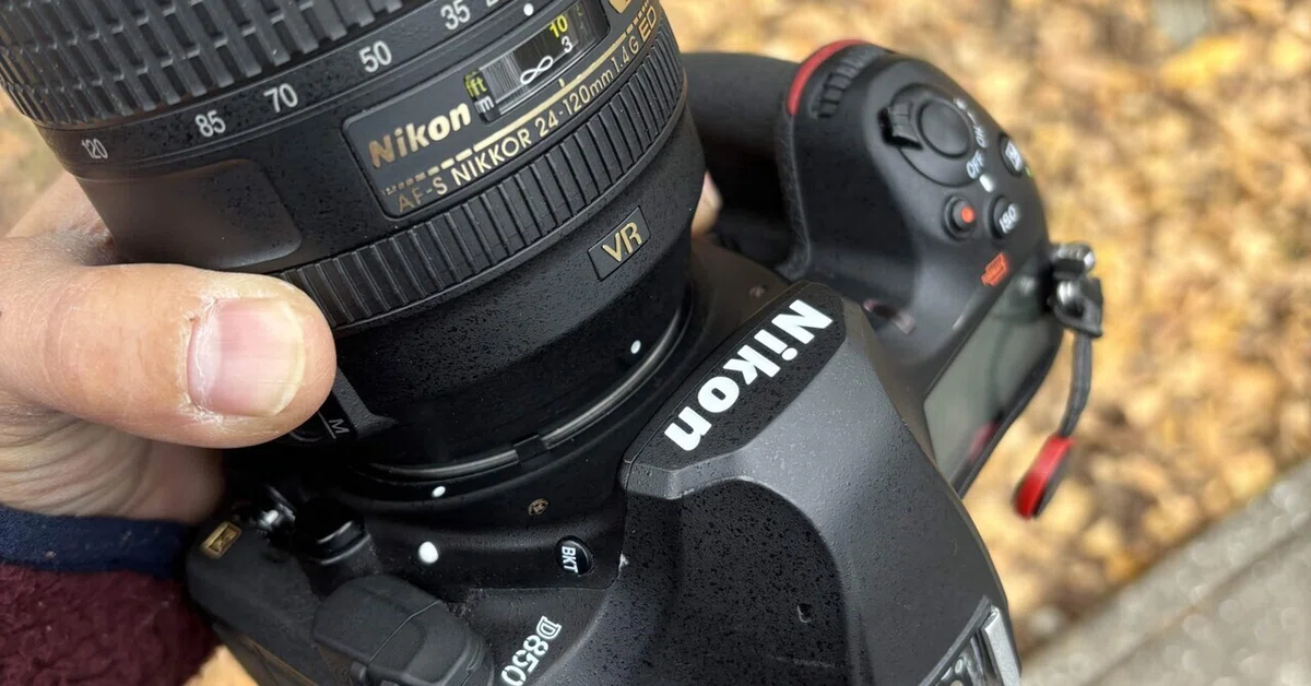ふぉとらいふ#8〜D850で動物撮影と最終期のフィルムカメラについて 