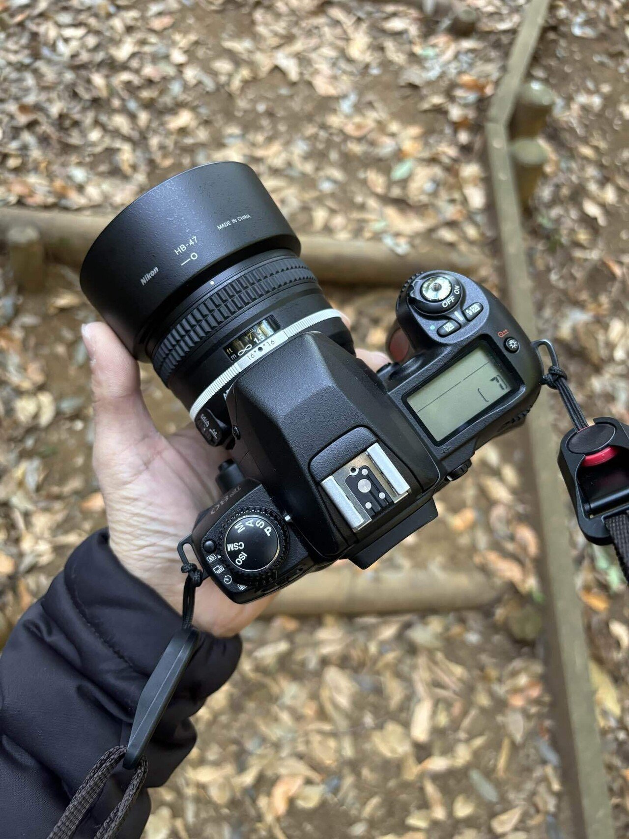 ふぉとらいふ#8〜D850で動物撮影と最終期のフィルムカメラ
