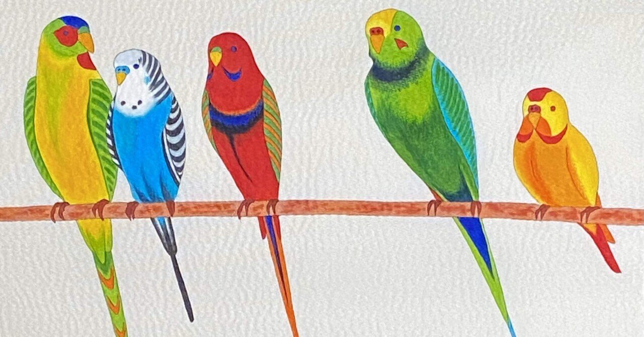 セキセイインコの名古屋帯｜夢吉きもの