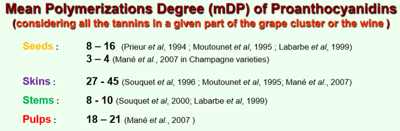 ワインにおけるタンニンの渋みの正体 量と質 奥村 嘉之 Winehacker Note