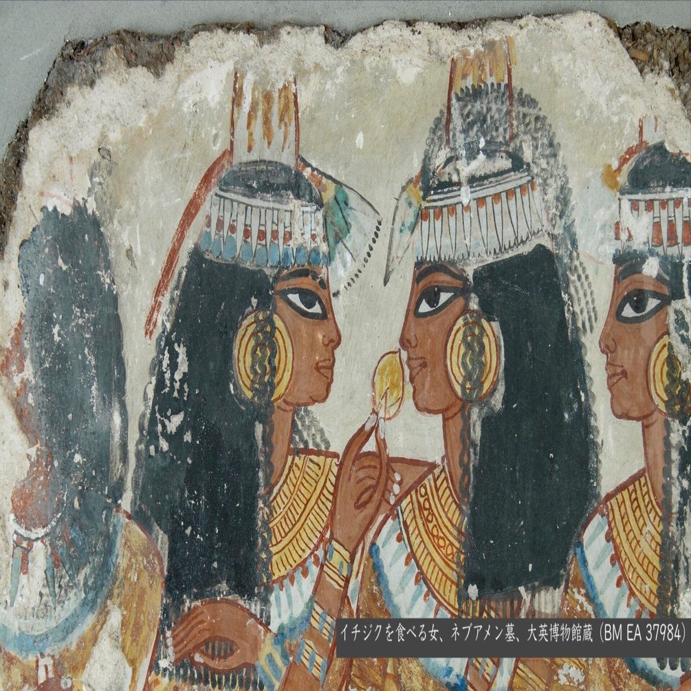 古代エジプトのスイーツ｜成子正（NARUKO Masa）