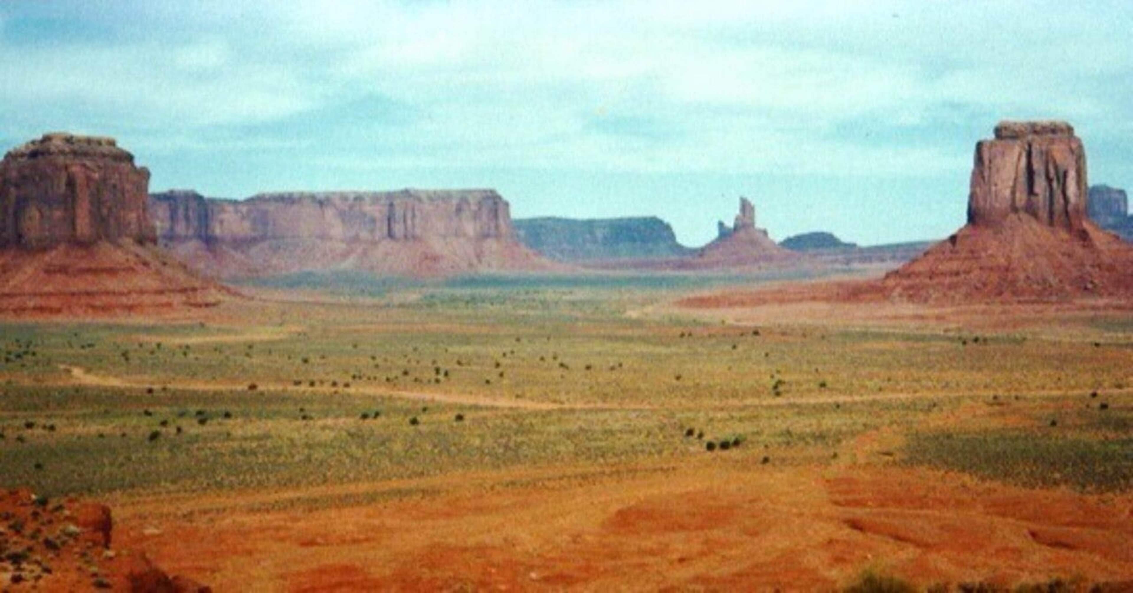 8eadc9a4a23ce4c38096410c762375