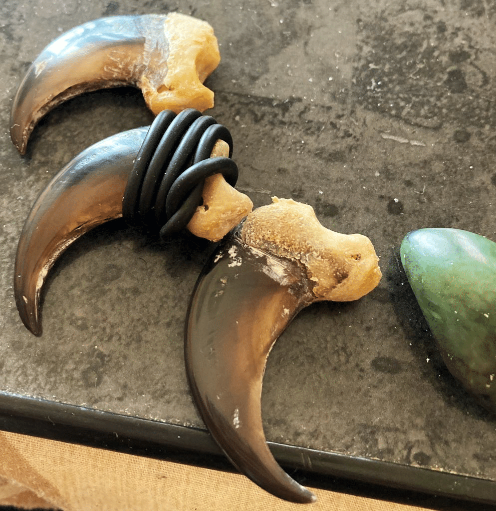 クマの爪を磨く(´・(ｴ)・｀)｜片耳狐ノあぜる