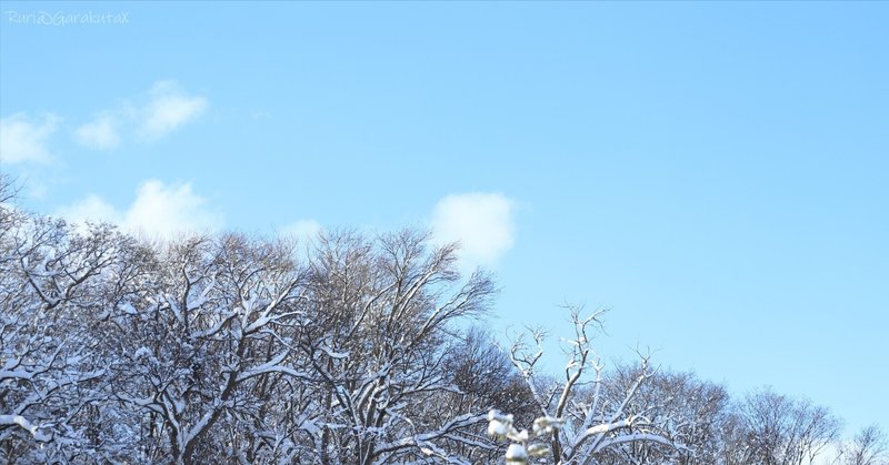 青空と雪