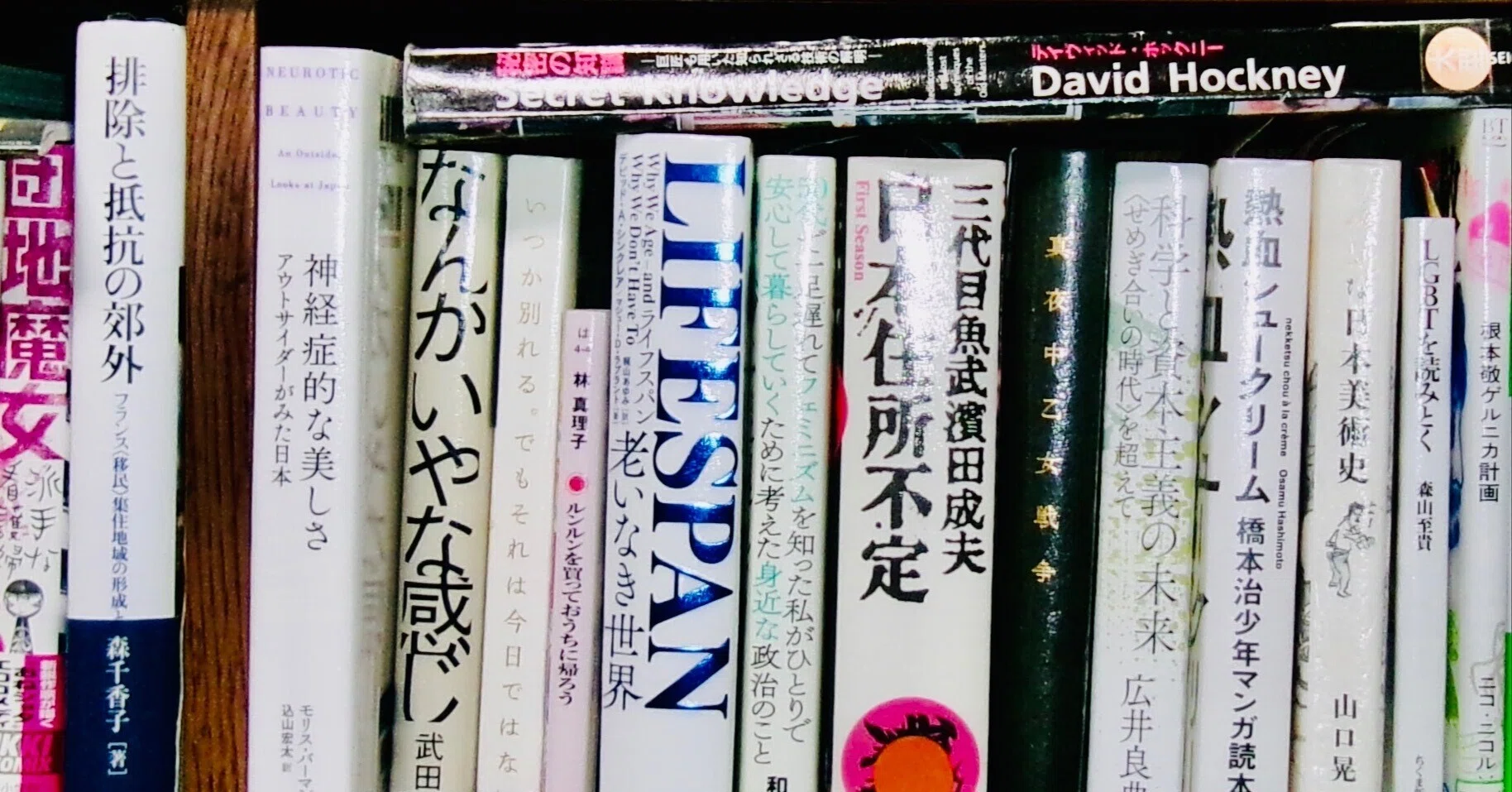 読書感想 『秘密の知識 巨匠も用いた知られざる技術の解明』 「絵画へ