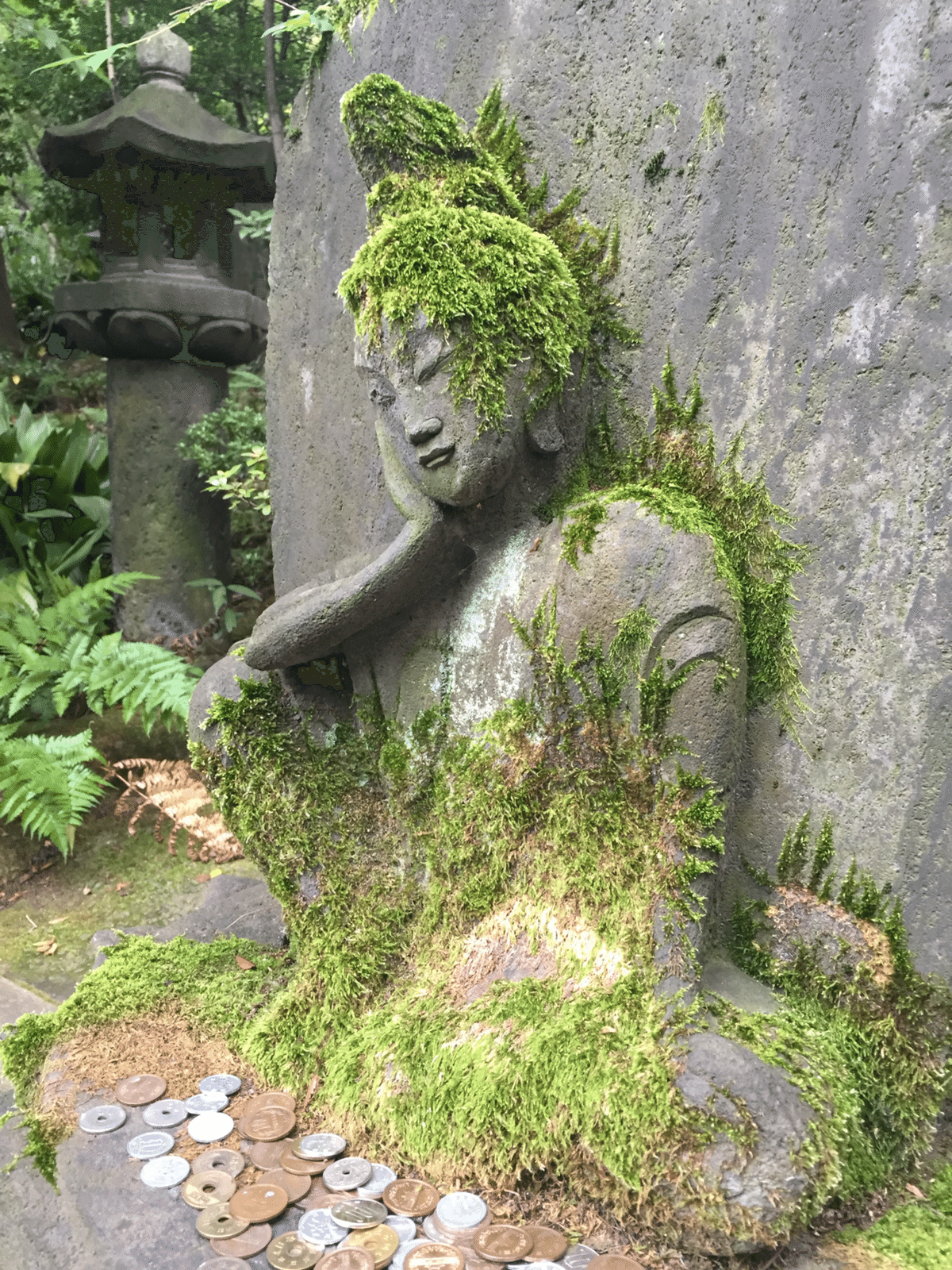 違わないのに、違って見える｜森山 智子