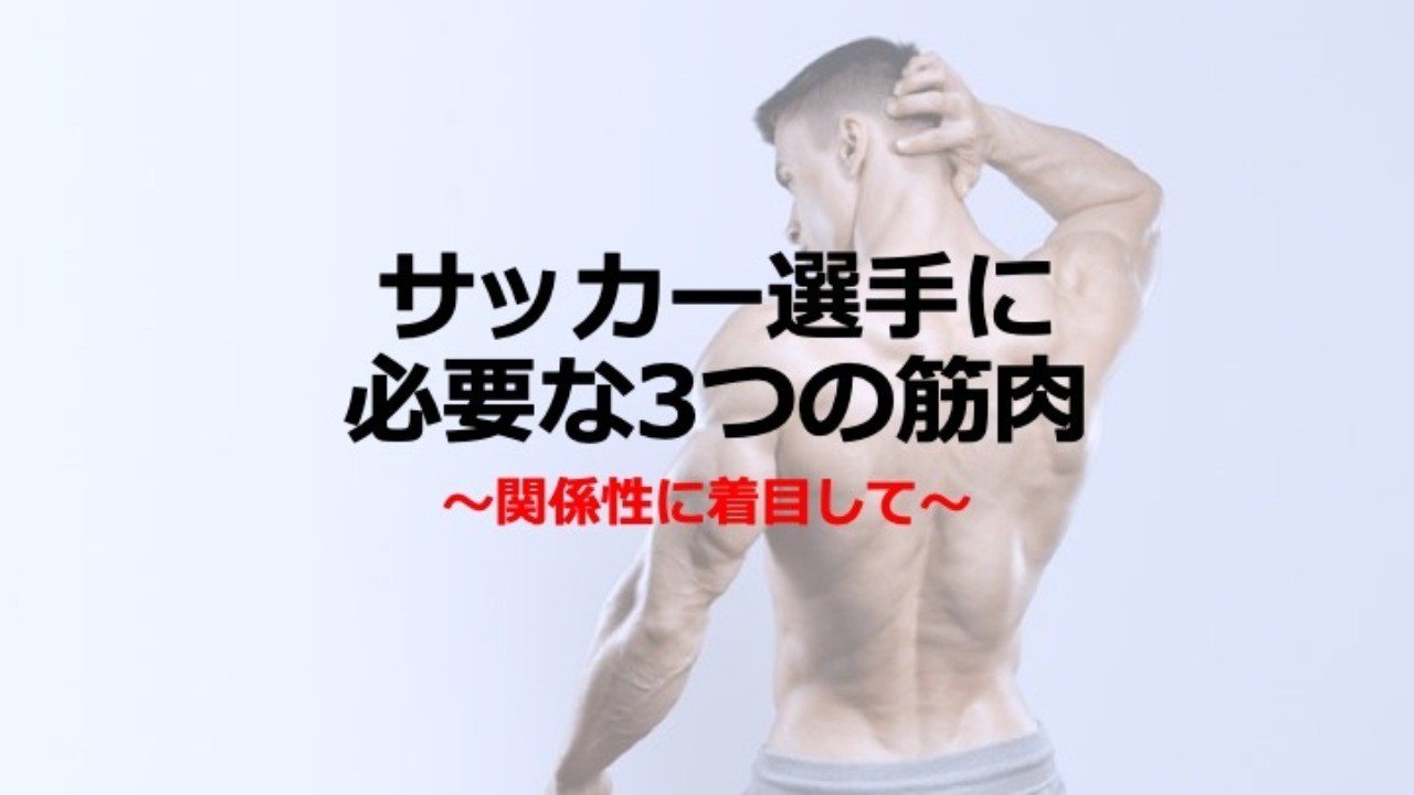サッカーに必要な3つの筋肉 関係性に着目して イクサポ 育成フィジカルコーチ Note
