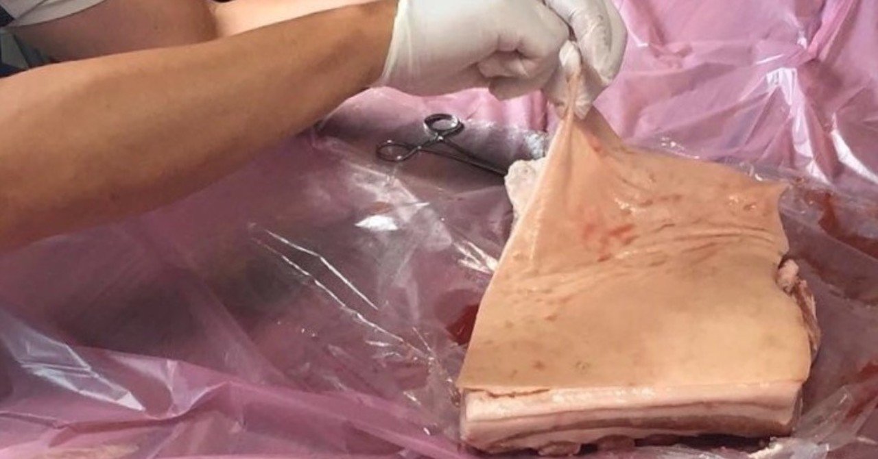 人の脂肪と豚の脂肪は全く違う receptor note