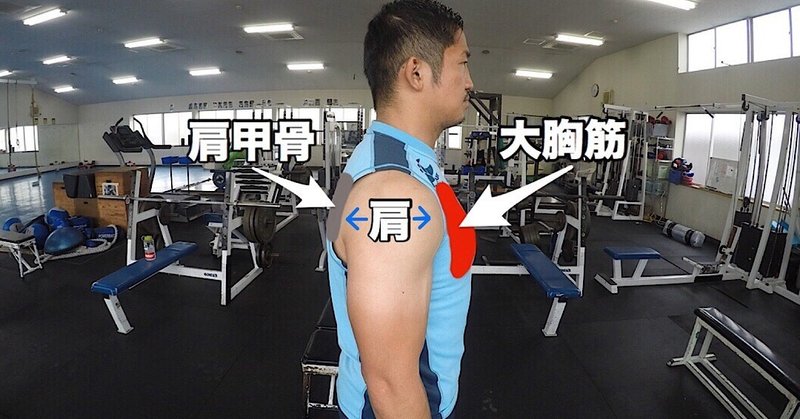 Gif解説 ケーブルクロスオーバーで正確負荷を入れるフォーム解説 じーやま 山路和希 Note