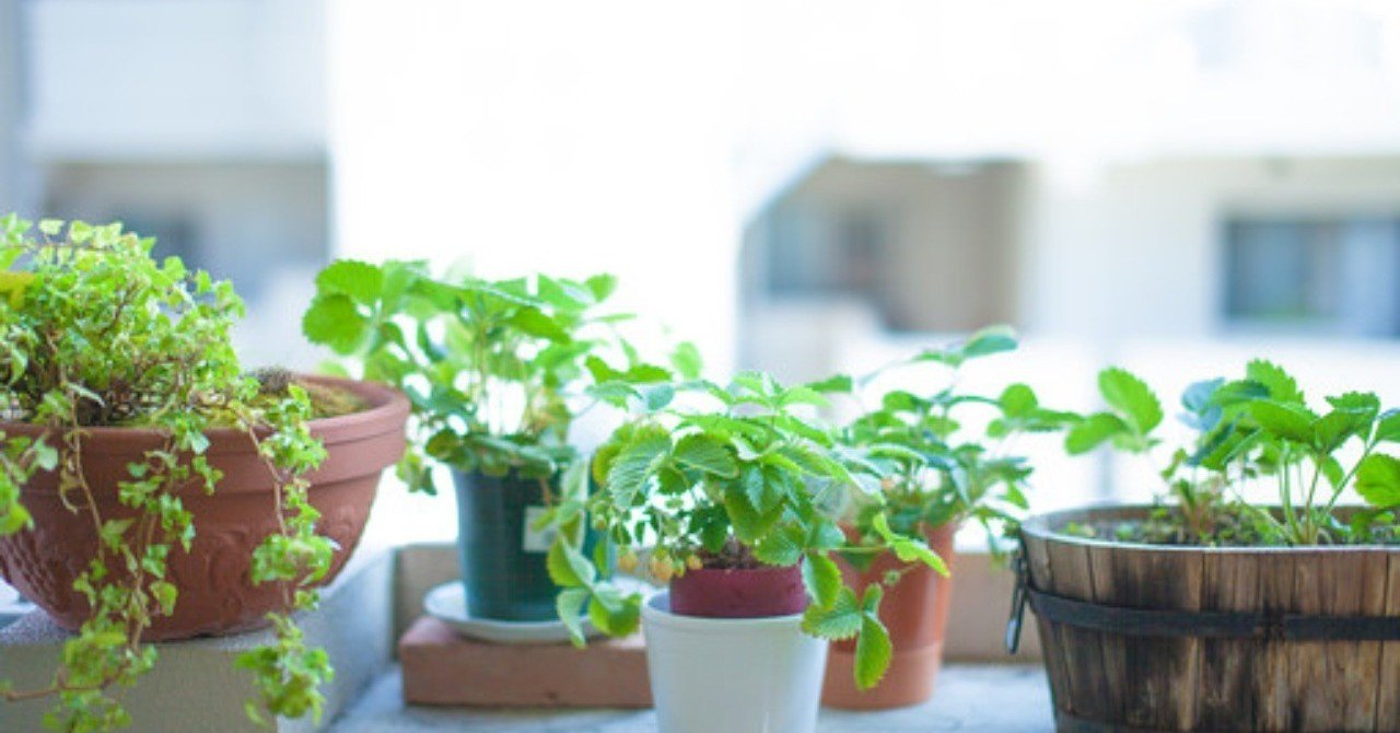 神様に上手に助けてもらう方法について 斎藤一人 ツイてる坊主 斎藤一人まとめnote Note