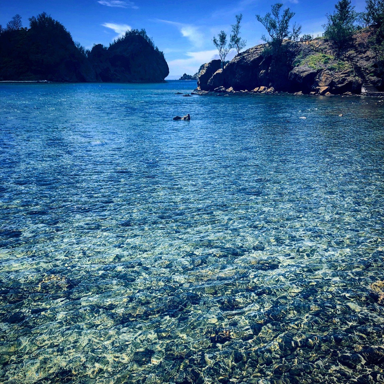 Boninという言葉に秘められた小笠原のあるべき姿 Motoki Kobayashi 小林基己 Cinematographer Note Boninという言葉に秘められた小笠原のあるべき姿 Motoki Kobayashi 小林基己 Cinematographer Note