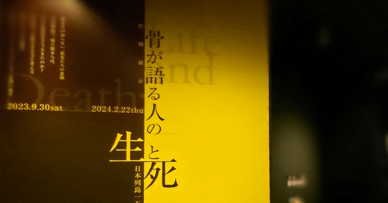 生き様がそのままに「骨が語る人の生と死」展｜東京大学総合研究博物館｜のんてり