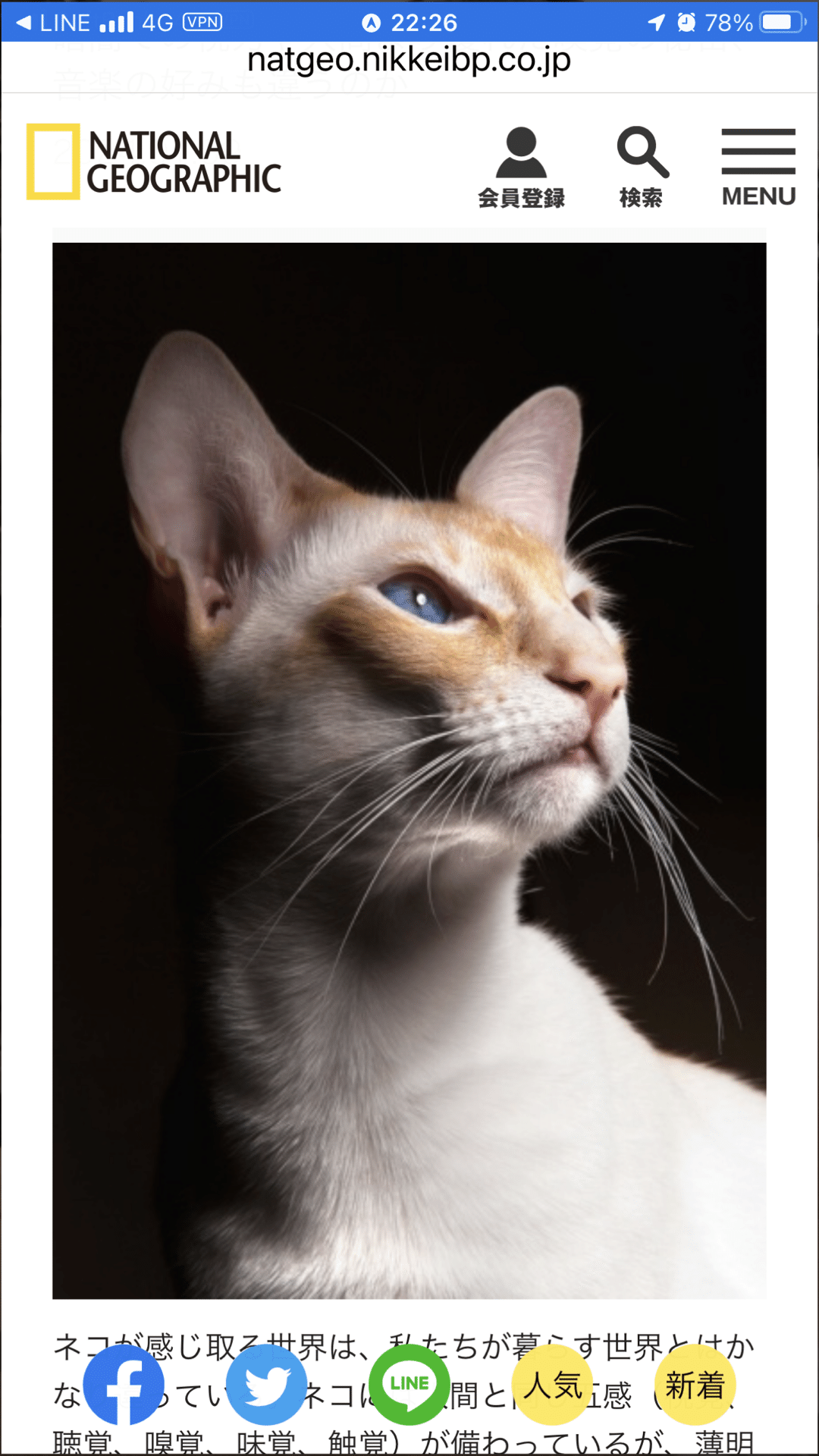 ナルシストは世界をどのように見ていますか?