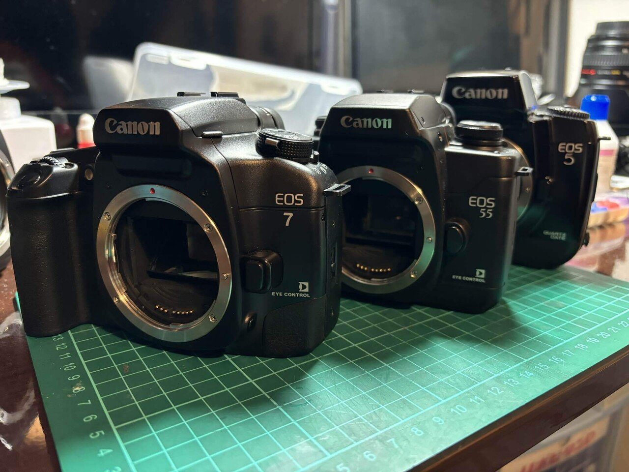ふぉとらいふ#8〜D850で動物撮影と最終期のフィルムカメラ