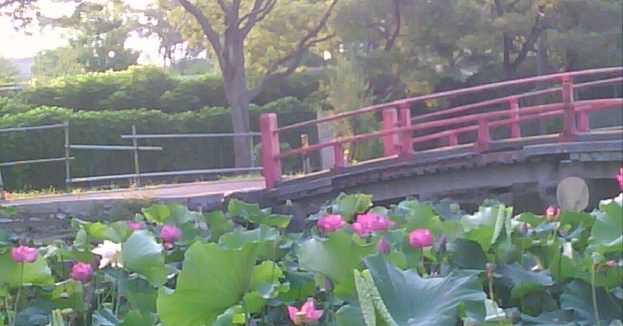 中国語ことわざ辞典｜とくじん