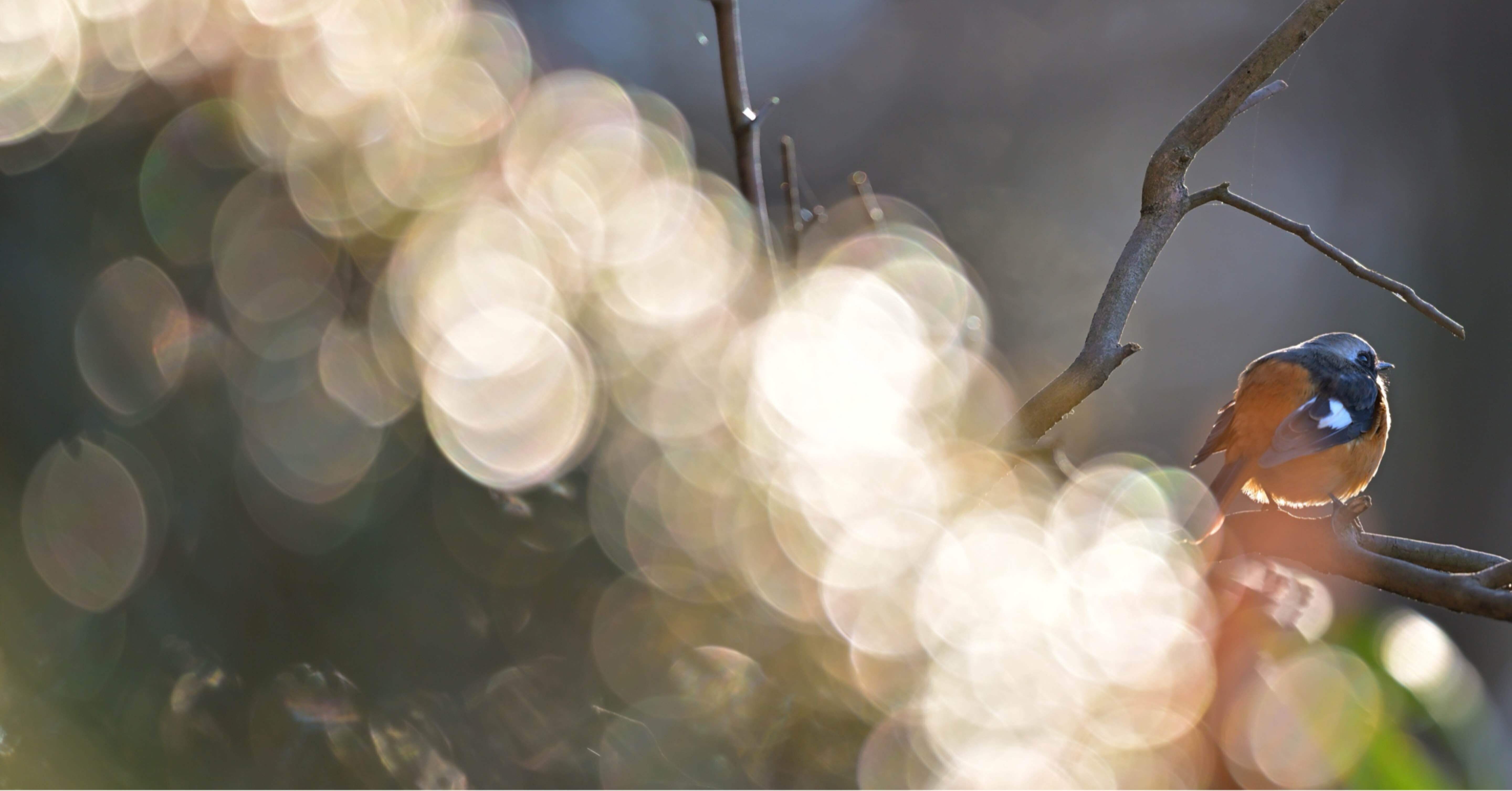 1340be989badfabcc656e19a9d3bbb