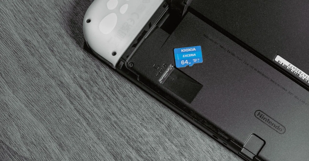 Nintendo Switch向けmicroSDカードの選び方【条件4つ】｜さばのおすし