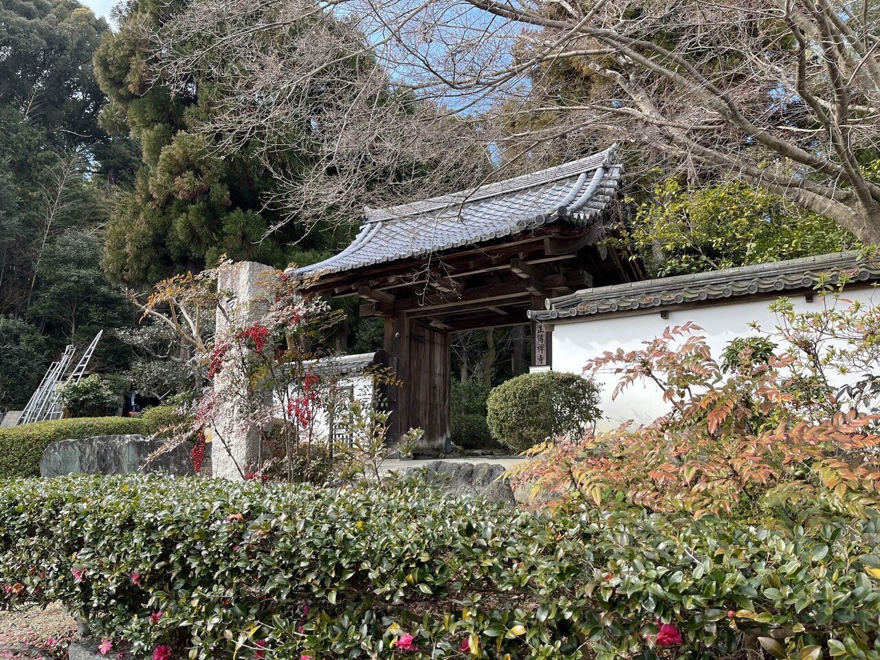 正伝寺、今宮神社、黄梅院|ちいず 正伝寺、今宮神社、黄梅院|ちいず