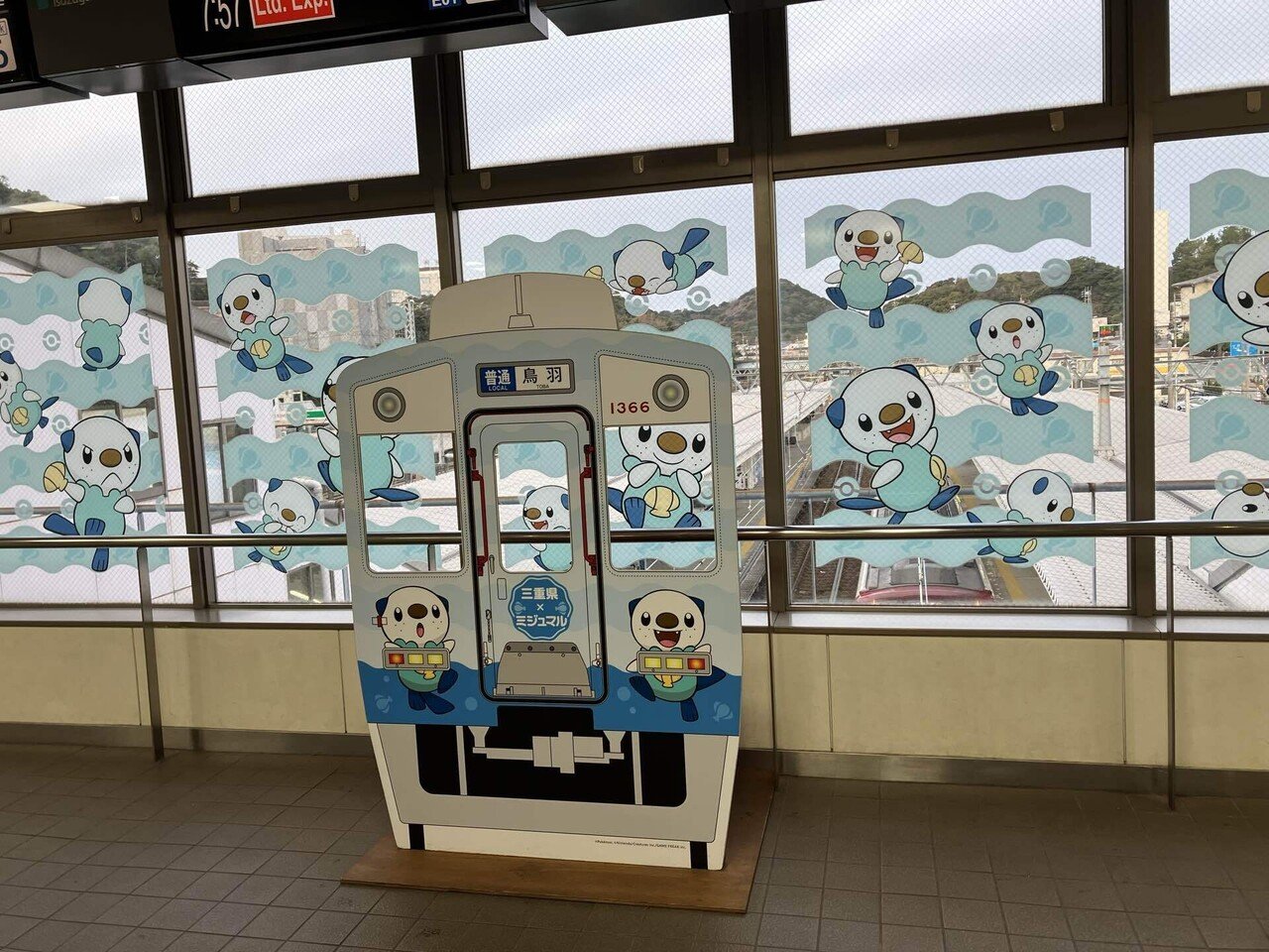 待ちに待ったラッコ様｜norasander69