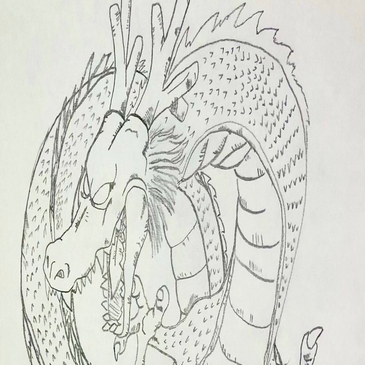 ദ്ദി ˉ͈̀꒳ˉ͈́ )✧{手乗り神龍} 光神龍スペル・デル・フィン【VR】