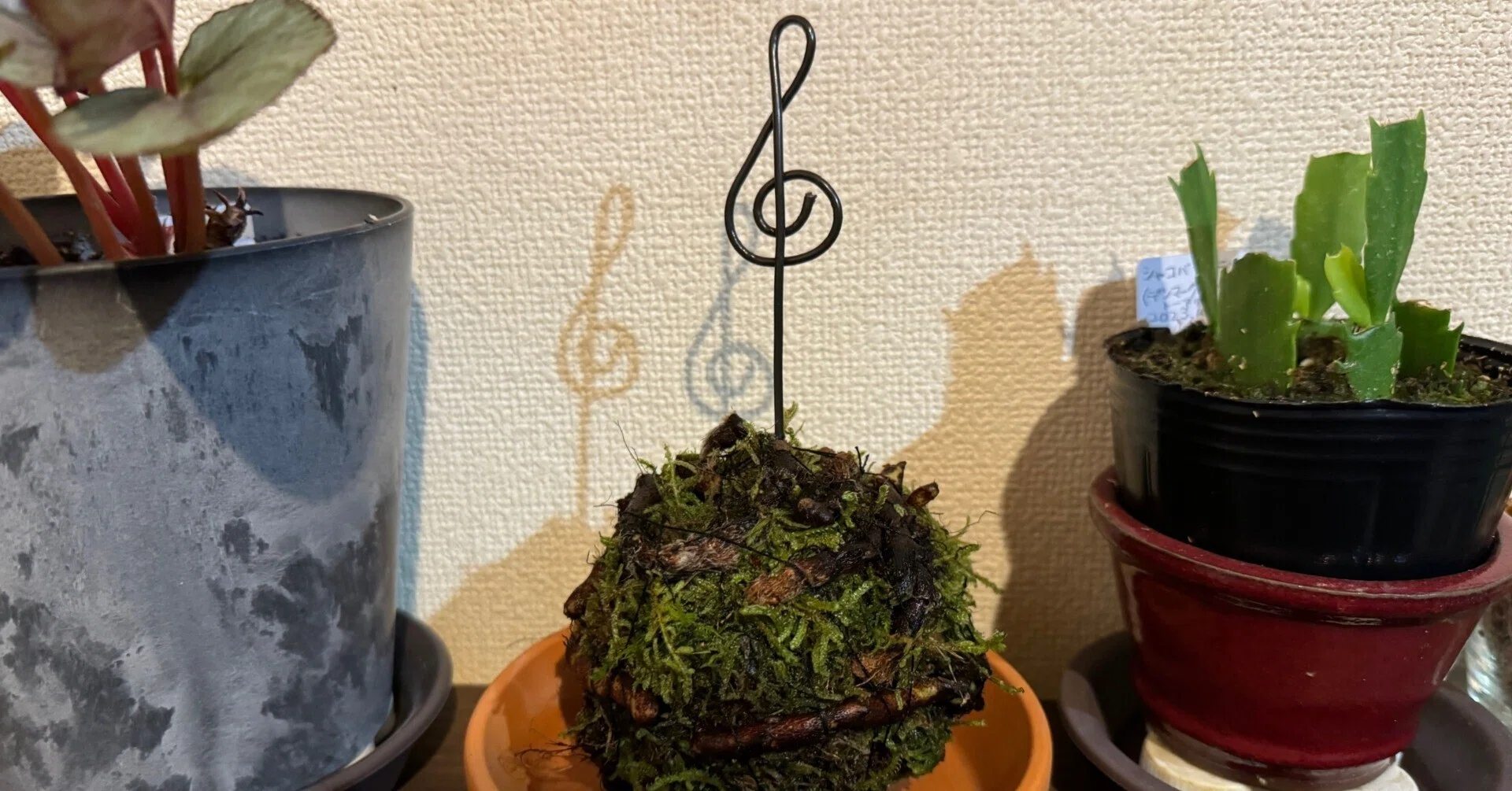 吊りしのぶ』を作ってみた｜穂の気ままライフ