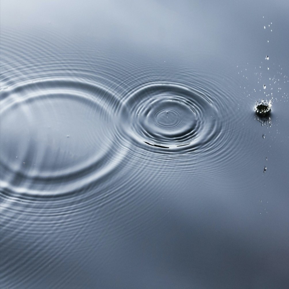 本が売れない。編集者が考える“変化への一歩”｜シュッパン前夜 編集部