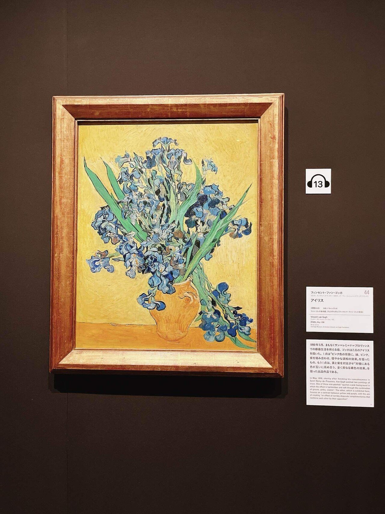 ゴッホと静物画 2024年美術館初め｜yuyu_0707