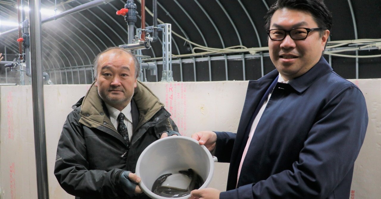 北海道産うなぎというアイデア