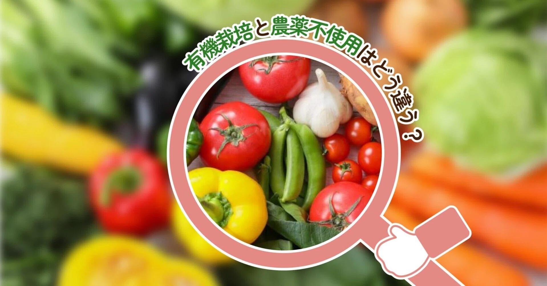 農薬不使用とは？農産物や栽培の用語を分かりやすく解説します！｜生協