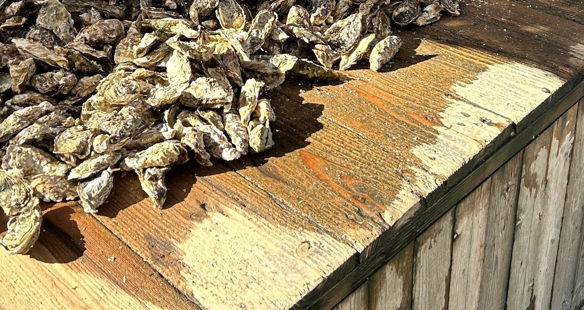 津田悠義/Yugi Tsuda｜note