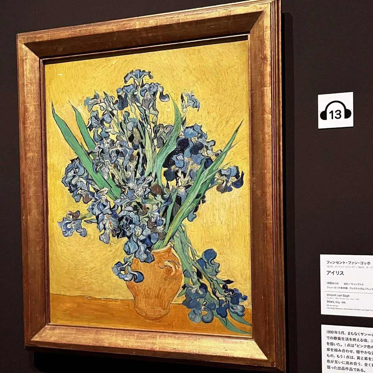 備忘録】ゴッホと静物画―伝統から革新へ(2024/1/12)｜呑酸