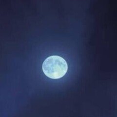 I think the moon〜月に想う