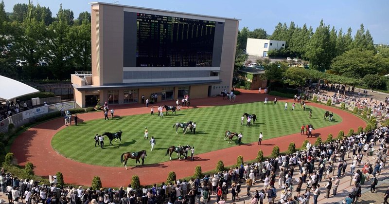 Guide to Horse Racecourse in Japan: Niigata Racecourse /新潟競馬場