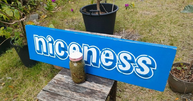 沖縄1日目niceness