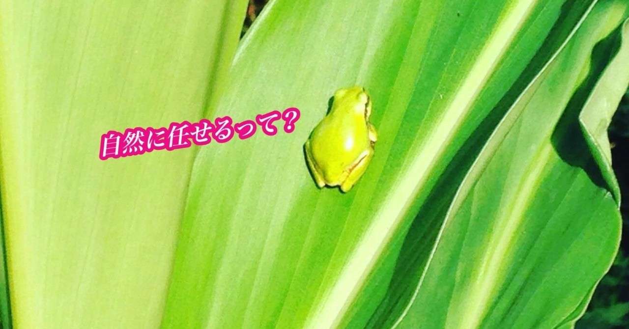 自然に任せるって