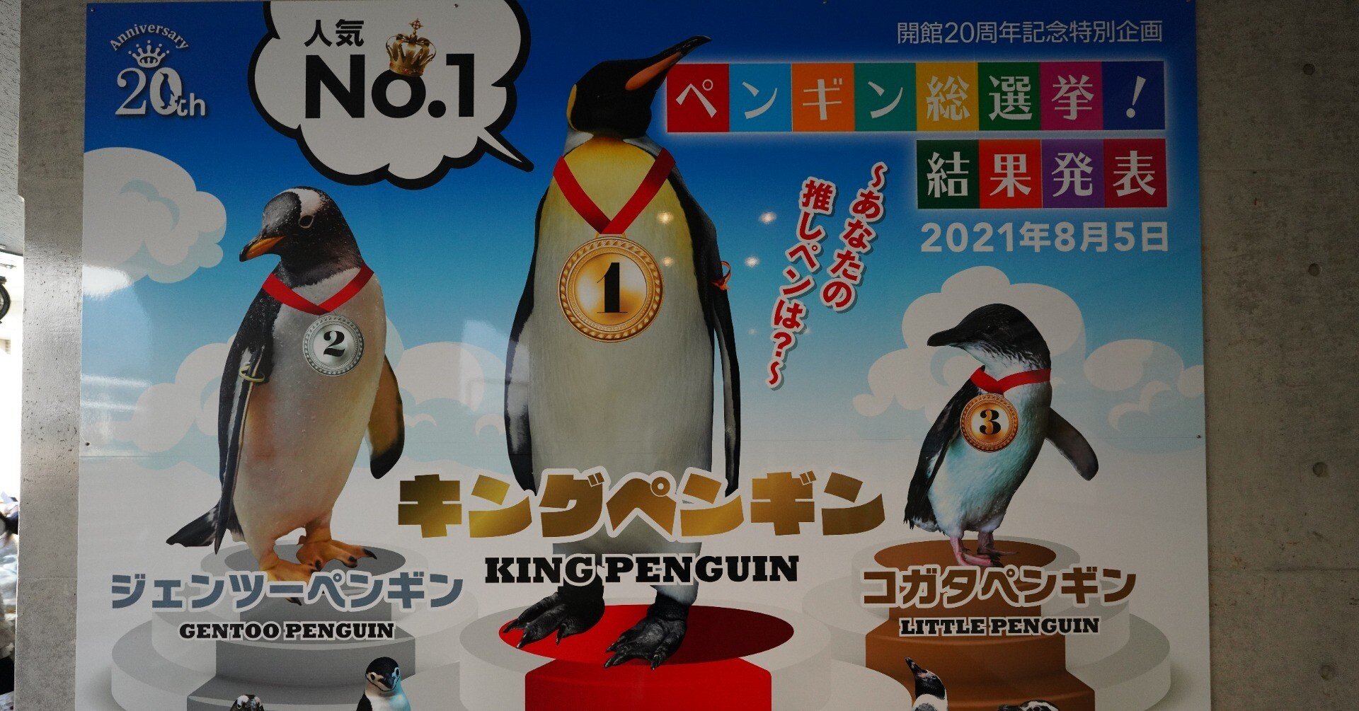 聖地巡礼 長崎ペンギン水族館｜SleepJam