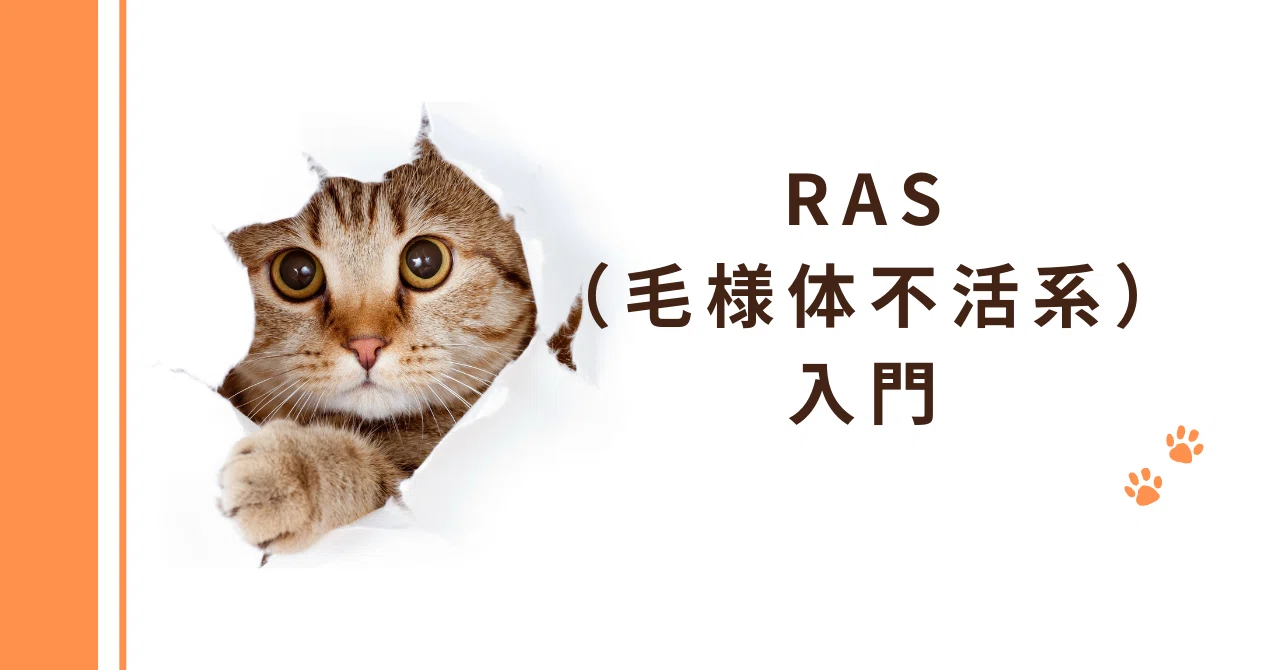 心理学】RAS（毛様体不活系）入門【自己分析】｜らす@心理