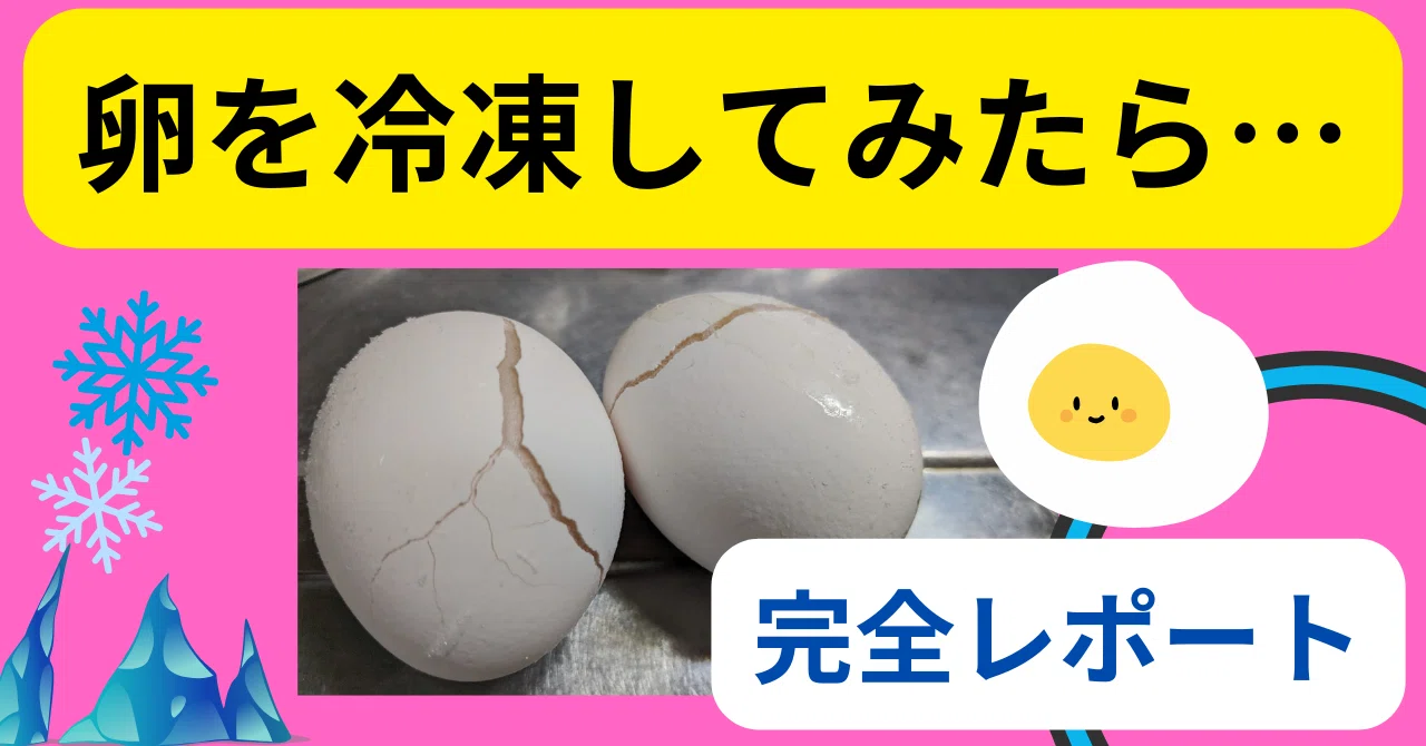 卵 冷凍 保存